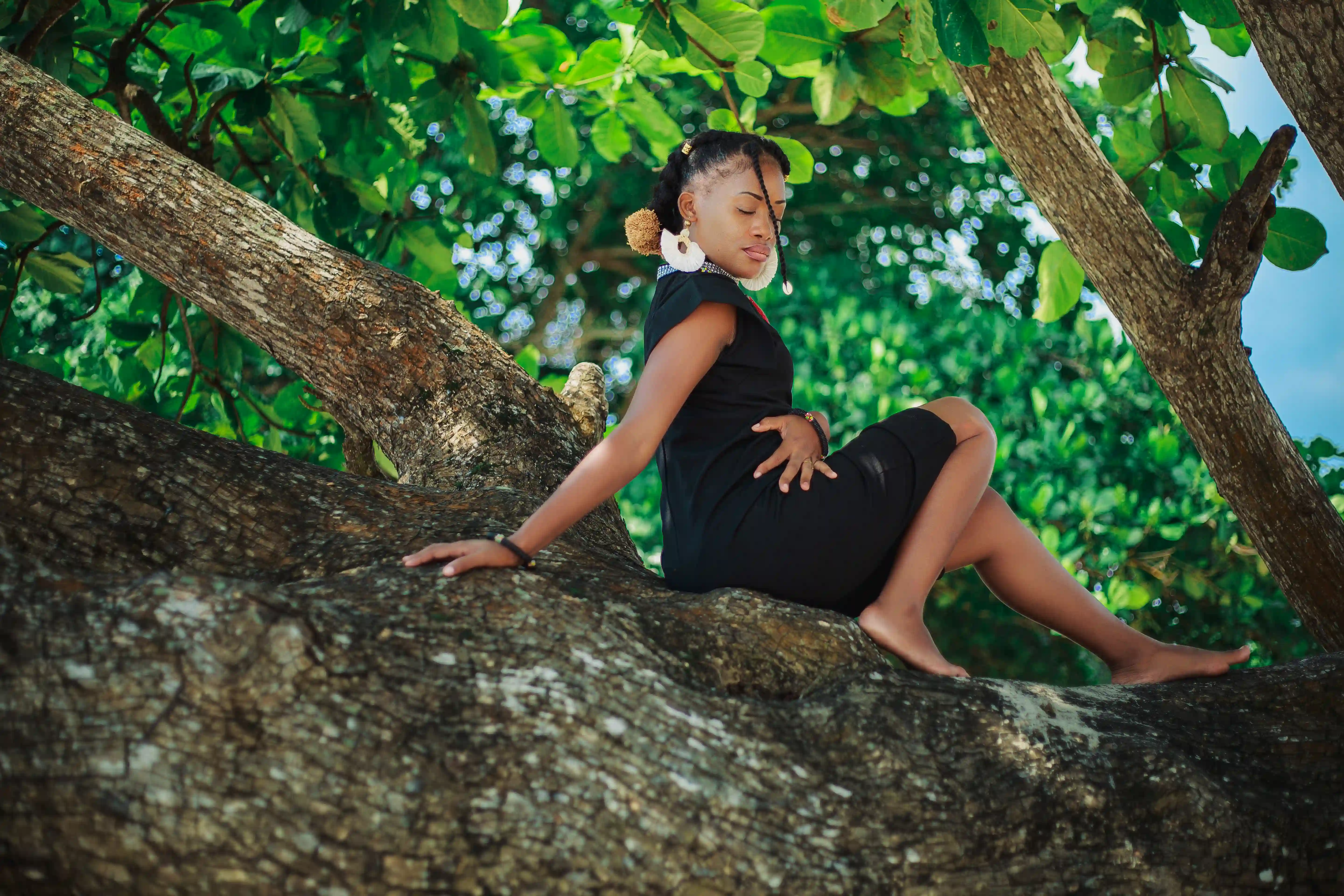 Orphée NYNY Background